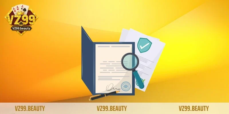 Tổng quan về điều khoản điều kiện VZ99