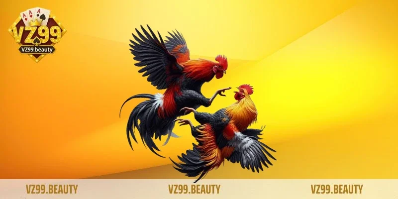 Trải nghiệm đá gà VZ99 chân thực